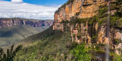 An image depicting the trail Blue Gum Forest Trail Loop and its surrounding area.