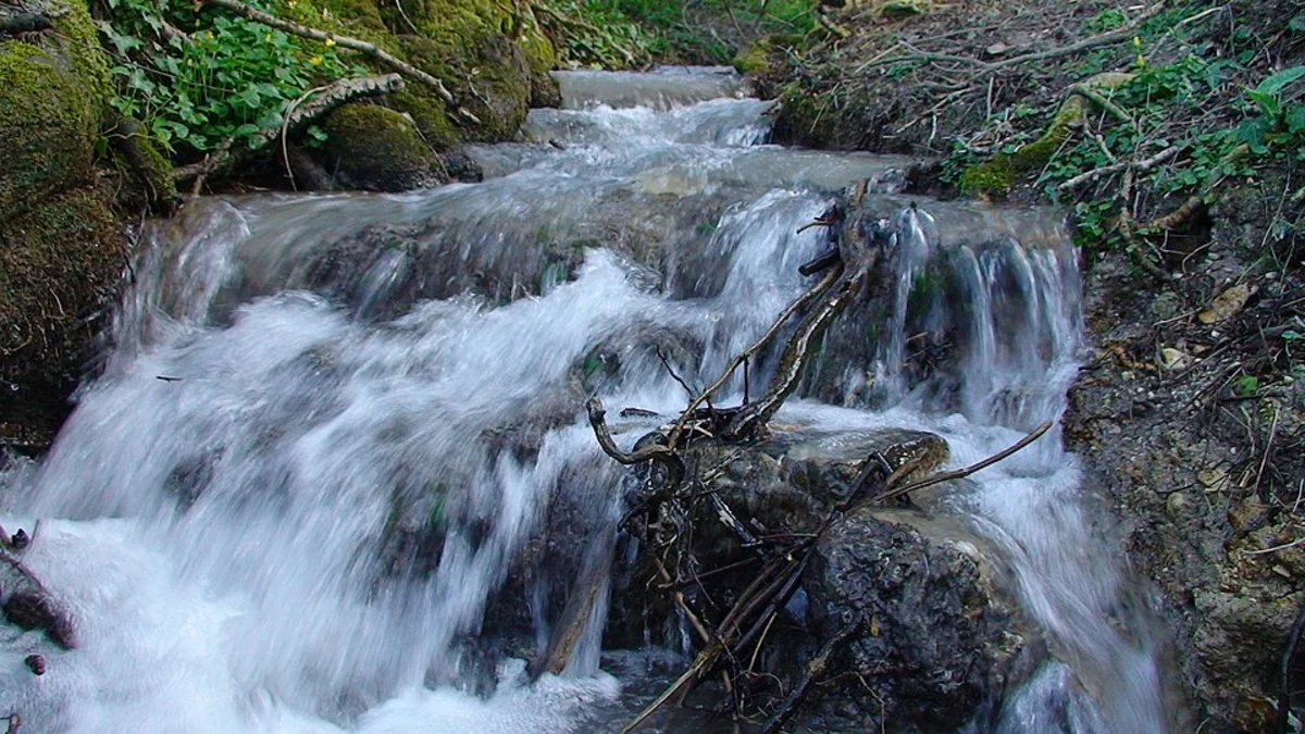 Barton Hill National Nature Reserve Loop