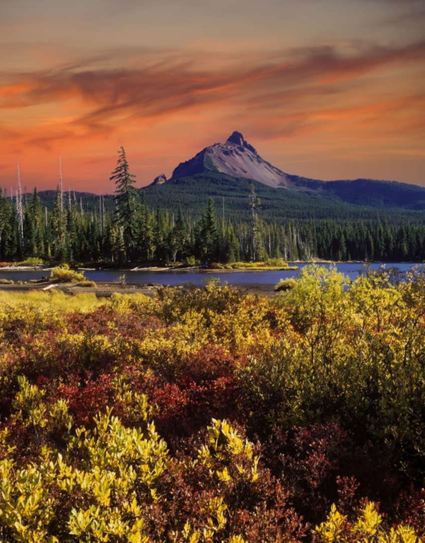 An image depicting the trail Santiam Advanced Play Loop Trail and its surrounding area.