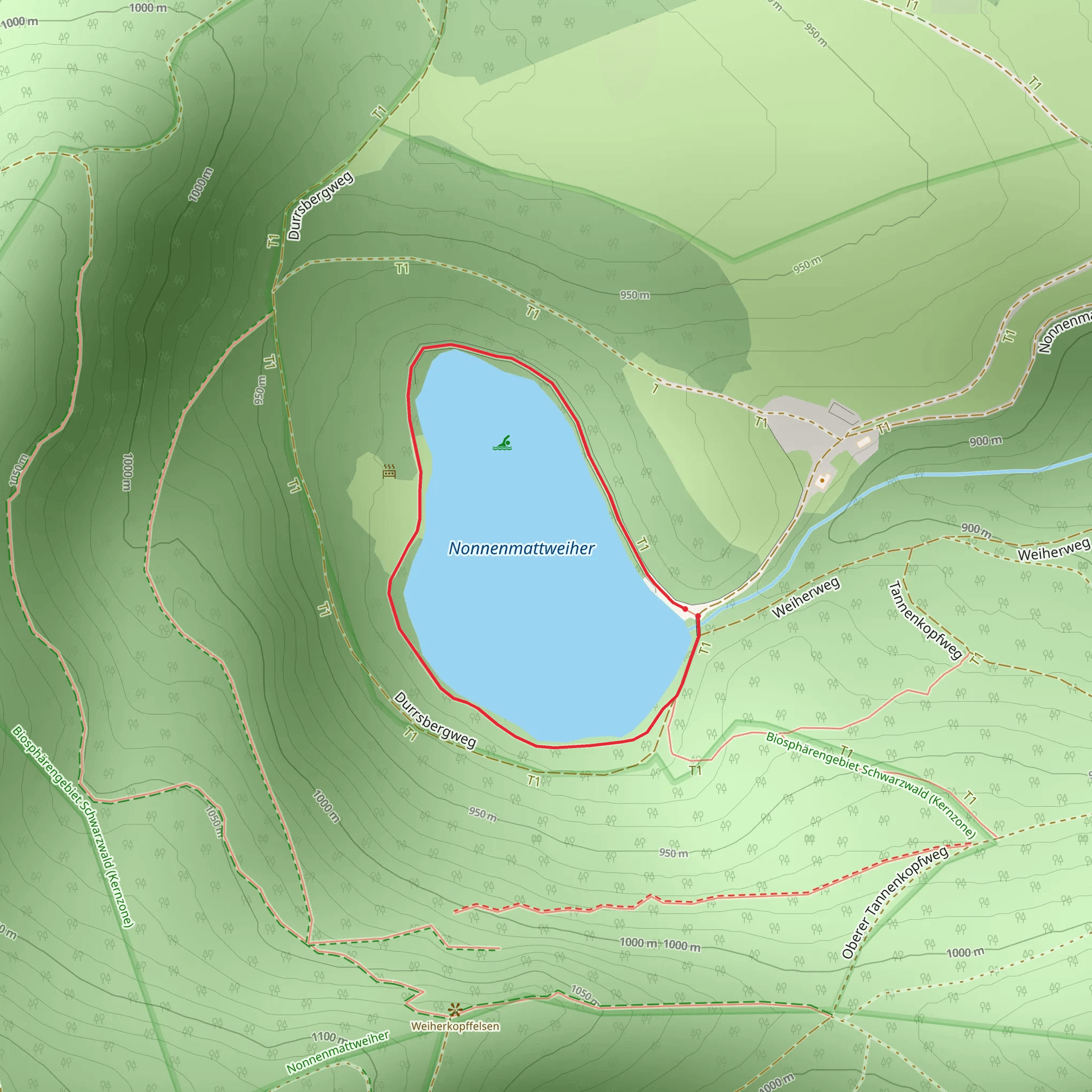Nonnenmattweiher Loop mobile static map