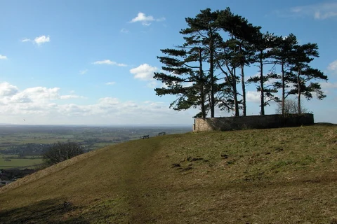 An image depicting the trail Westridge Wood Loop and its surrounding area.