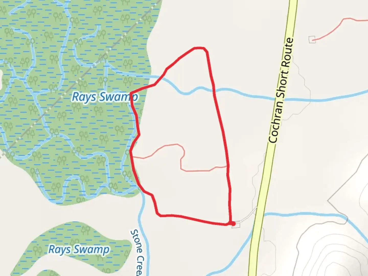 An image depicting the trail Beaver Swamp Loop Trail and its surrounding area.