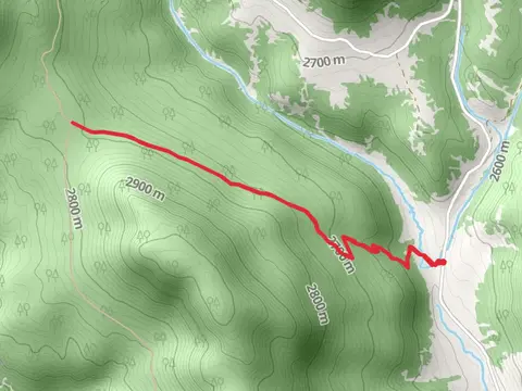 Alder Bench Trail - Short