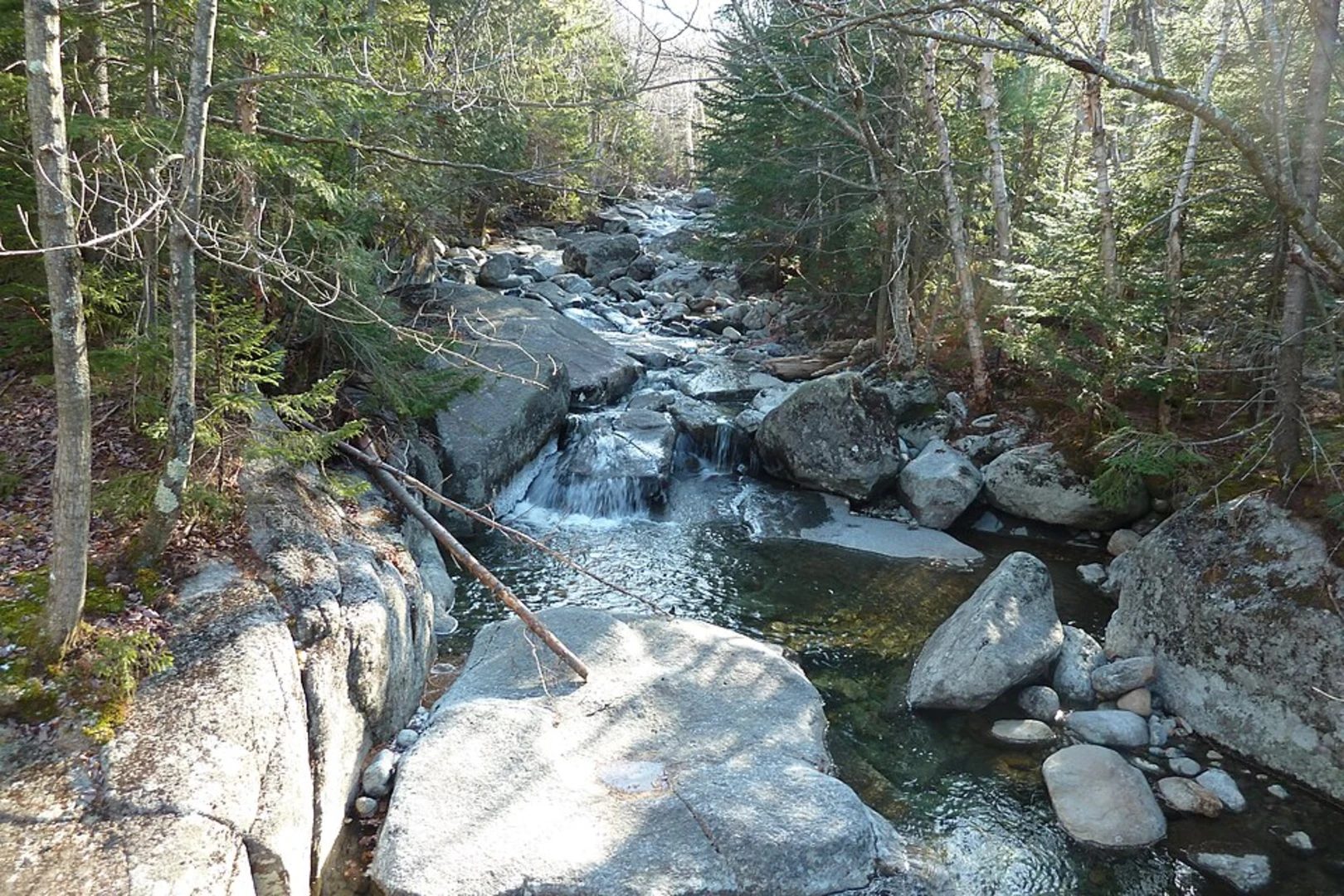 An image depicting the trail Phelps Mountain from Adirondack Loj Road and its surrounding area.