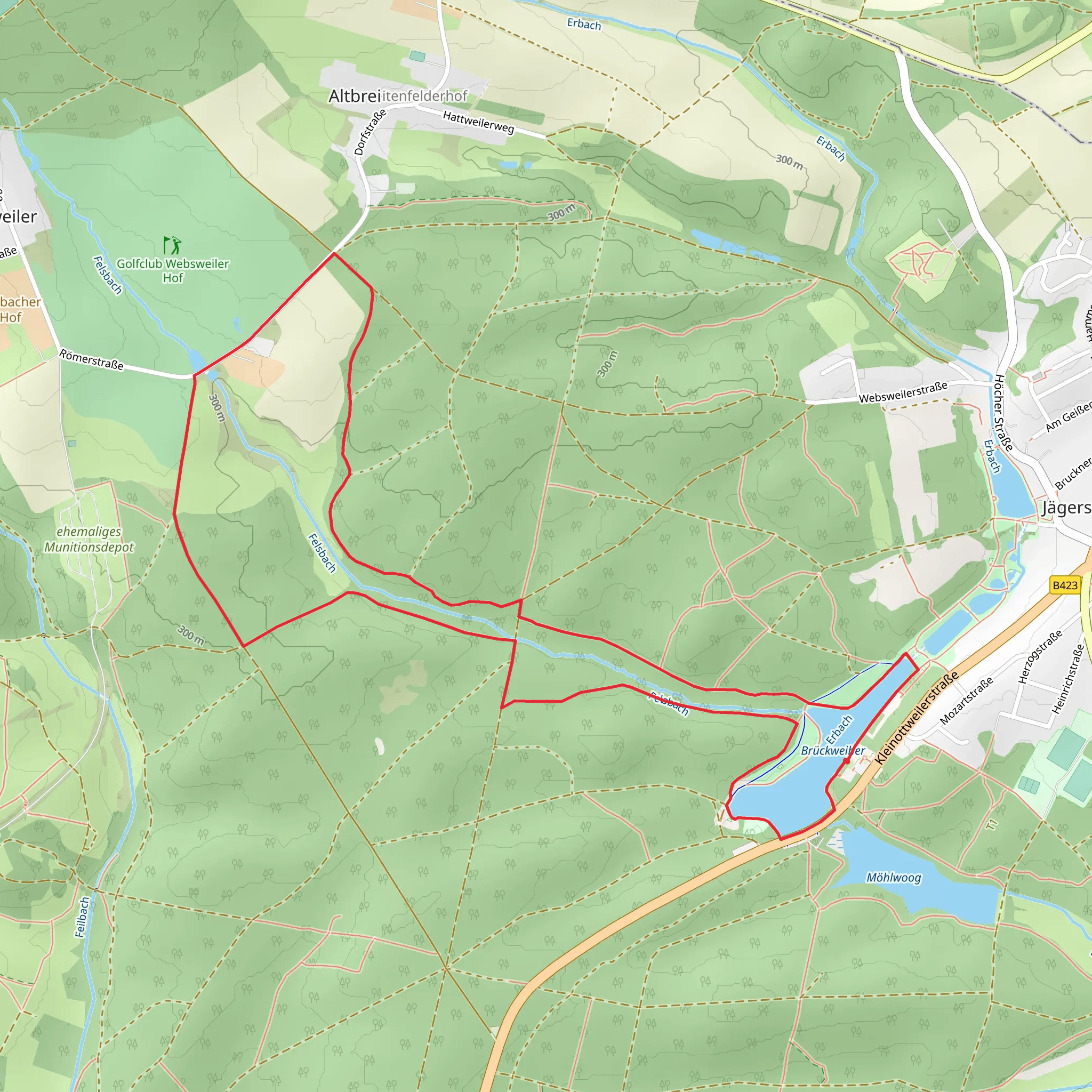 Brückweiher via Walter-Boßlet-Weg mobile static map