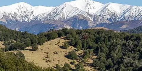 An image depicting the trail View Hill Car Park to Black Hill Hut and its surrounding area.