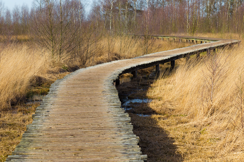 Peelsche Heide and Uitzichttoren via Kroonven