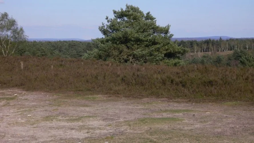 Puttenham, Hurtmore and Millford Loop