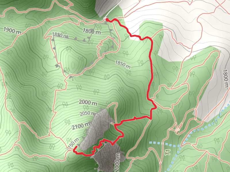 Bluebell Baird Trail and First-Second Flatiron Trail