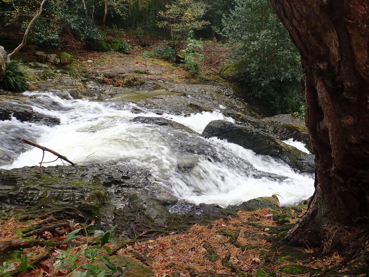An image depicting the trail Glen River and its surrounding area.
