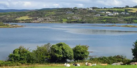 An image depicting the trail Fastnet Trails - Rossbrin Walk and its surrounding area.