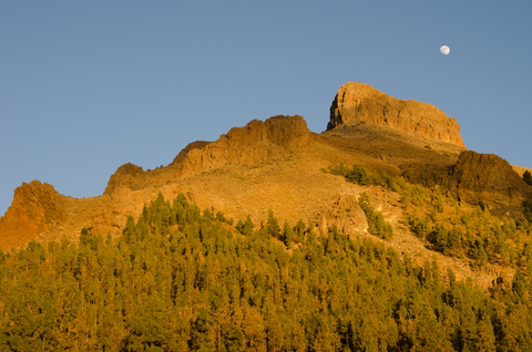 An image depicting the trail San Miguel 3 - Monte Cho Pancho Trail - El Roque and its surrounding area.