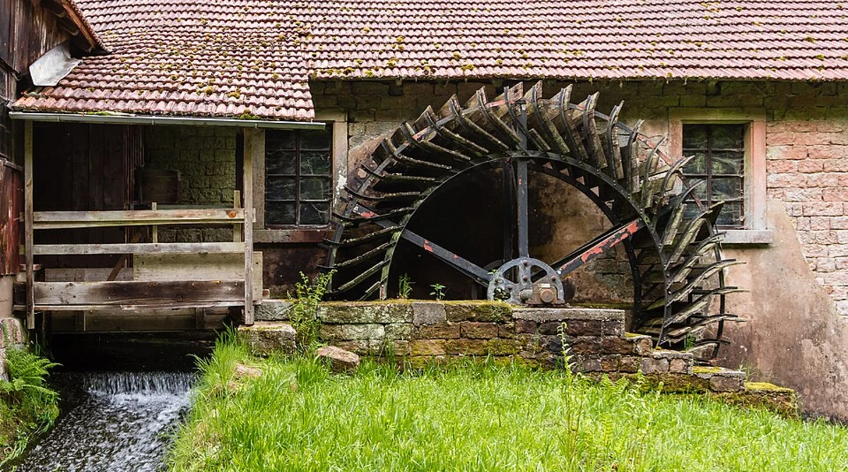 Oberwald and Mitterwald Loop - Haßloch