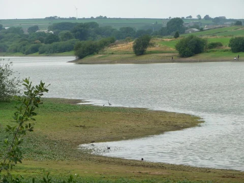 An image depicting the trail Scout Dike Reservoir and Royd Moor Reservoir Loop and its surrounding area.