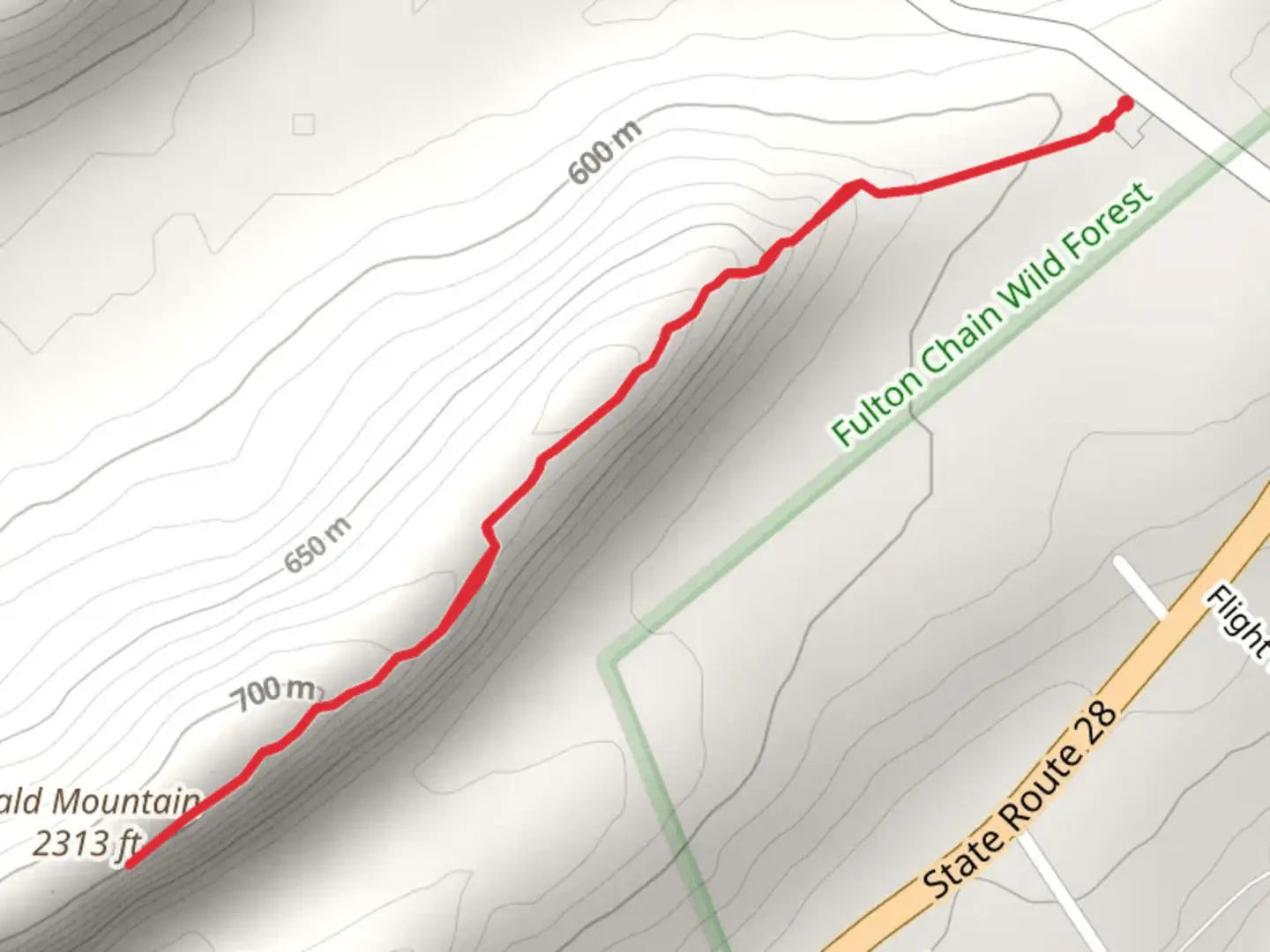 An image depicting the trail Bald Mountain Fire Tower Trail and its surrounding area.