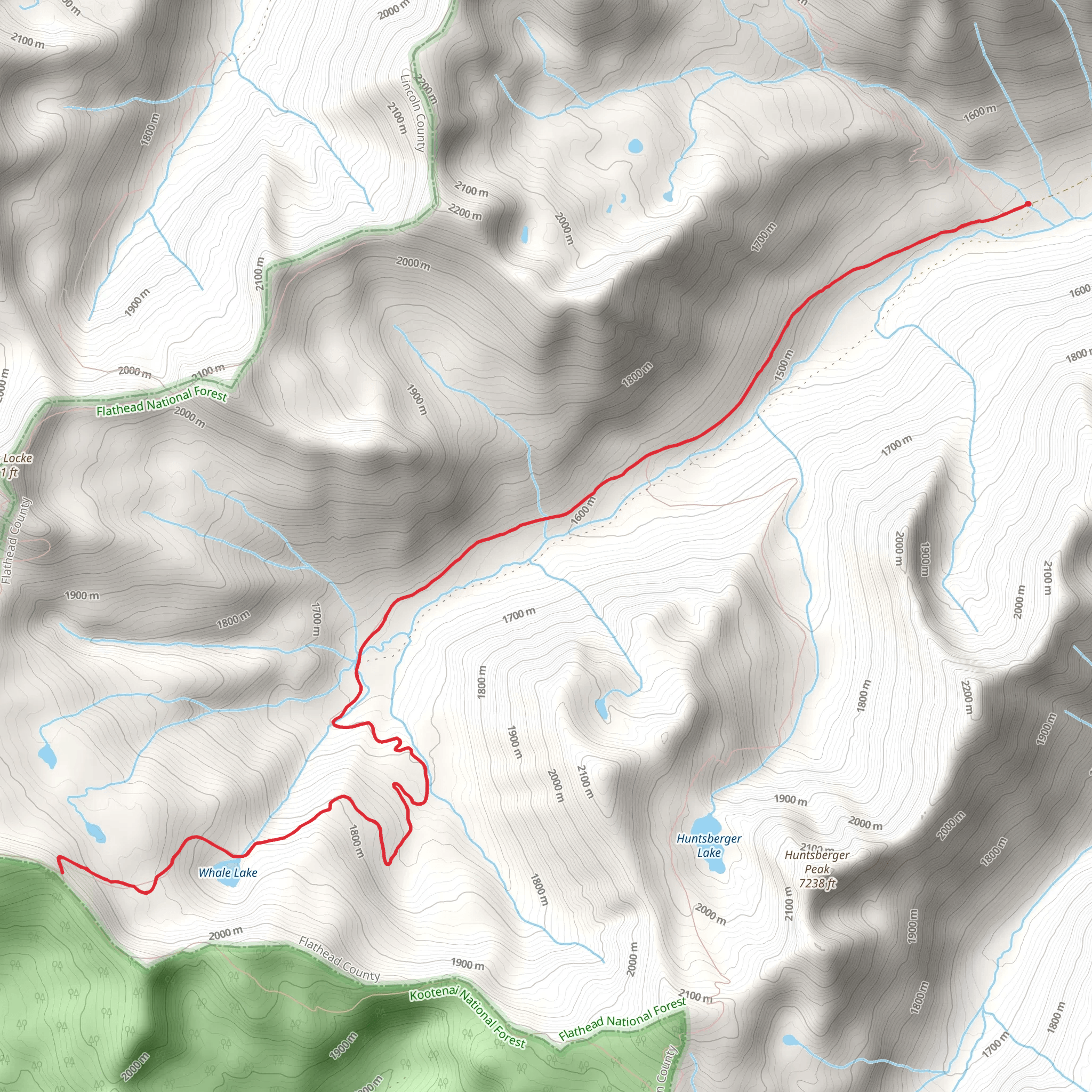 Whale Creek Trail mobile static map