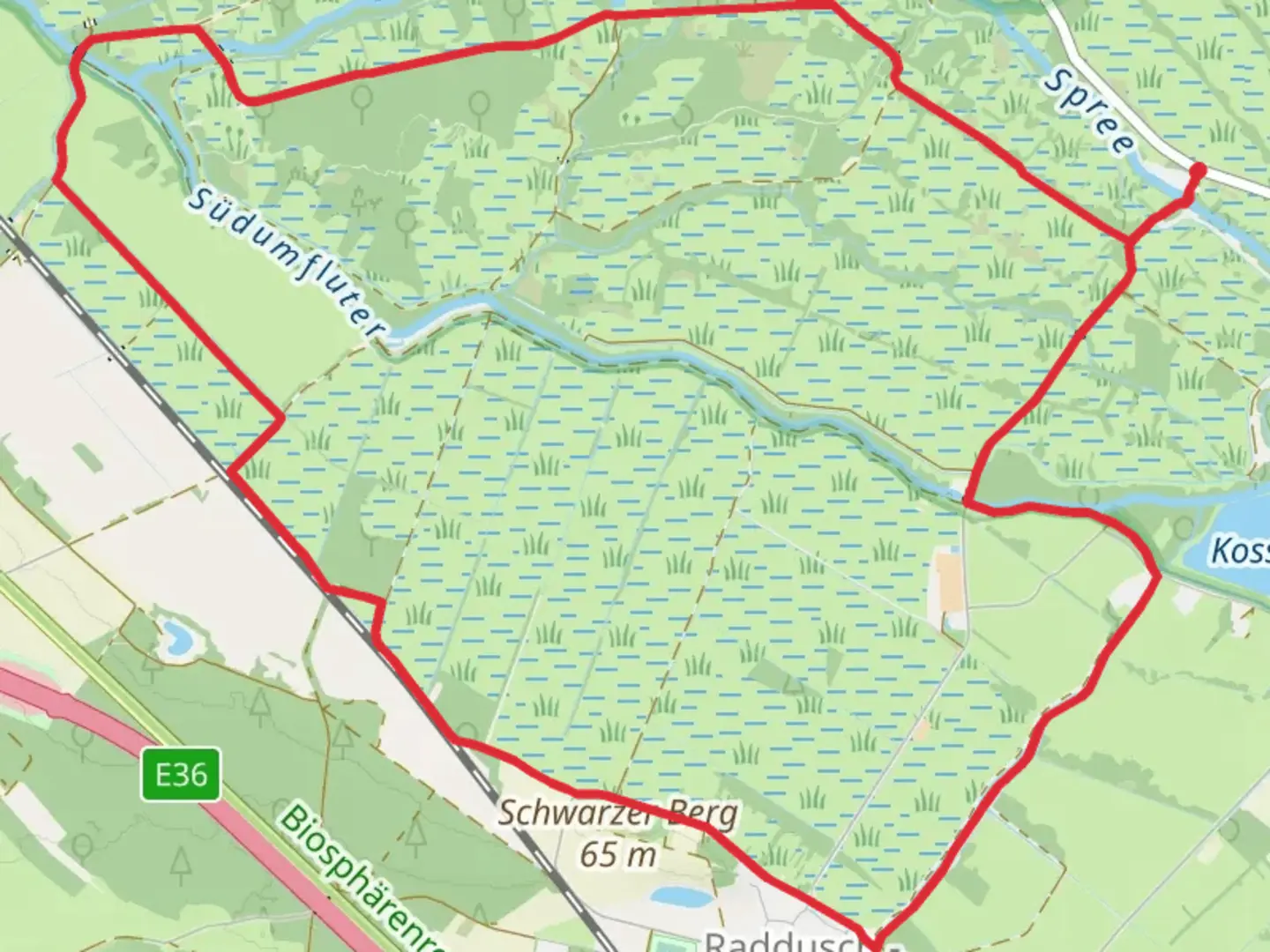 An image depicting the trail Moorlehrpfad Raddusch Loop and its surrounding area.