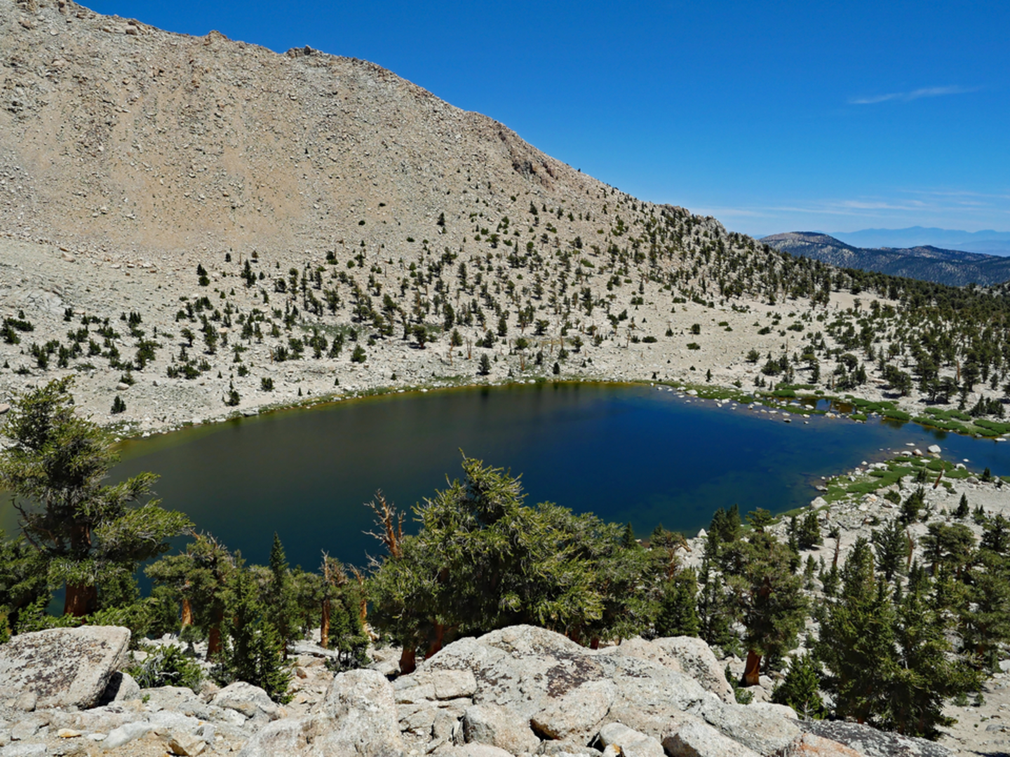 An image depicting the trail Cottonwood Pass Loop Trail and its surrounding area.