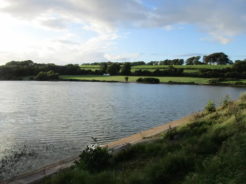 An image depicting the trail Sutton Bingham Reservoir and its surrounding area.