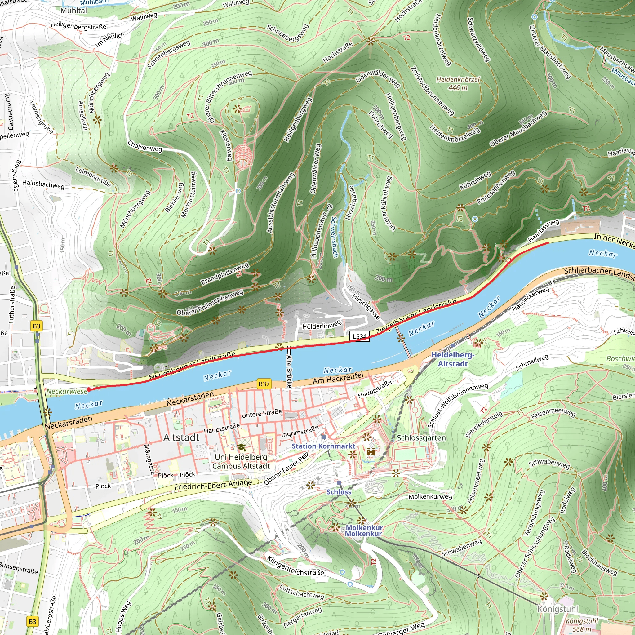 Neckar River Walkalong mobile static map