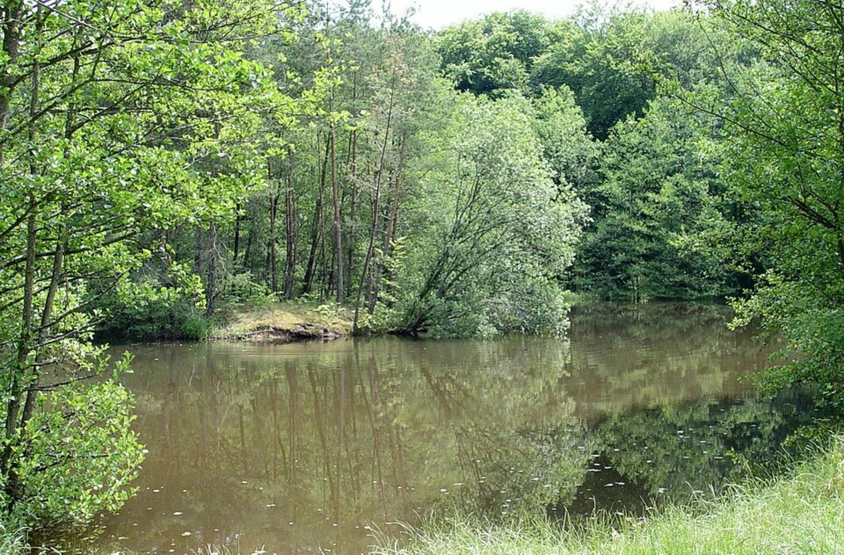 An image depicting the trail Sandsee, Herrenwies and Mehliskopfturm Loop and its surrounding area.