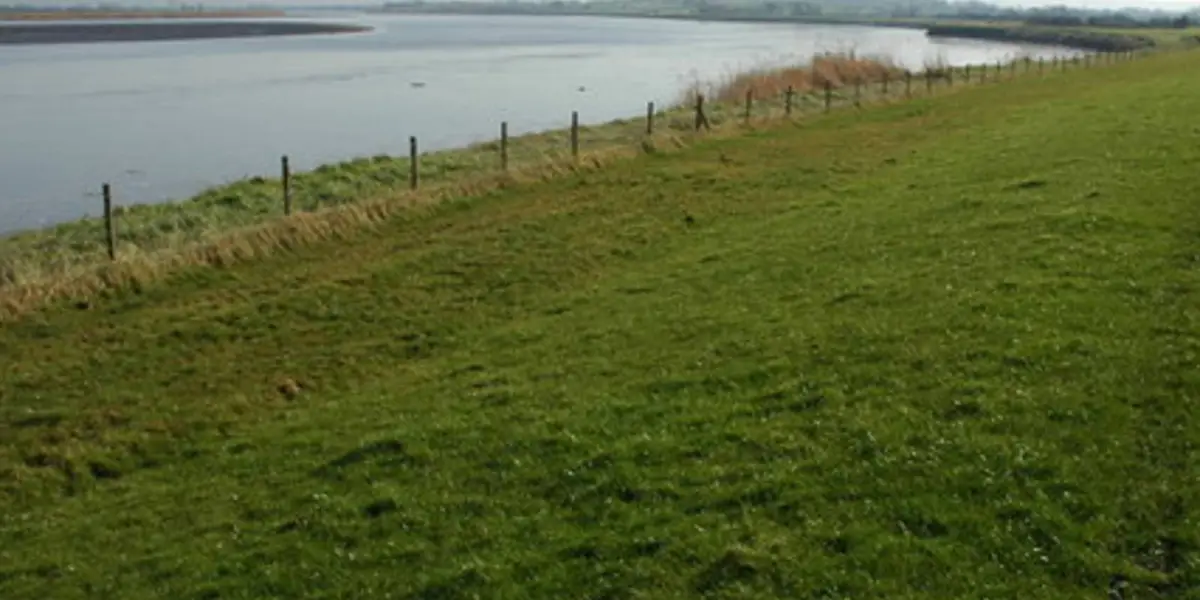 River Severn from Arlingham