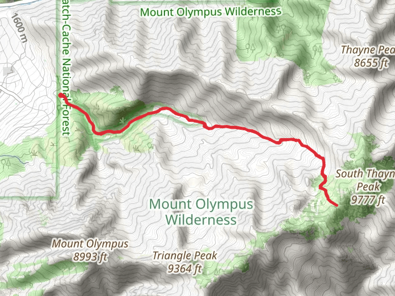 Wildcat Ridge and Neff Springs via Neffs Canyon Trail