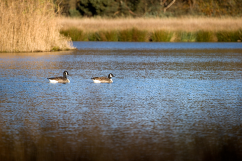Tongerense Heide and Tongerense Berg via Boerweg