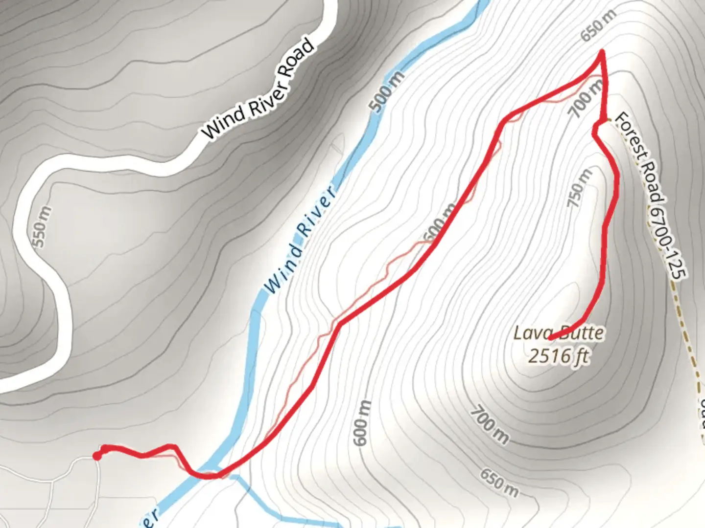 An image depicting the trail Lava Butte Trail and its surrounding area.
