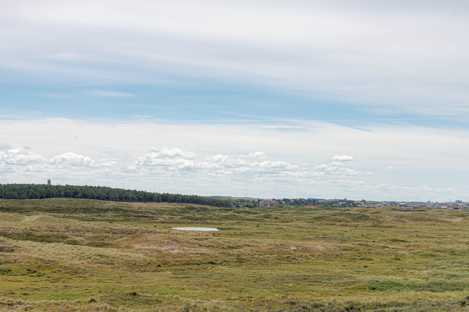 An image depicting the trail Parnaasiapark, Zuiderachterveld and Landgoed Nijenburg Loop and its surrounding area.