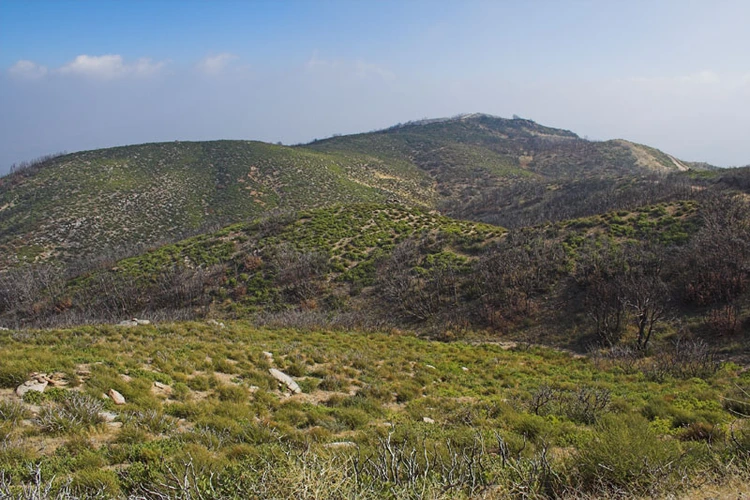 Cleghorn Mountain Trail