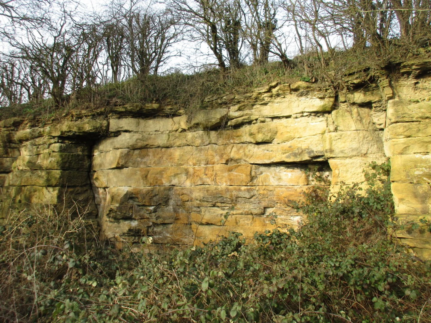 An image depicting the trail Barnburgh Loop and its surrounding area.