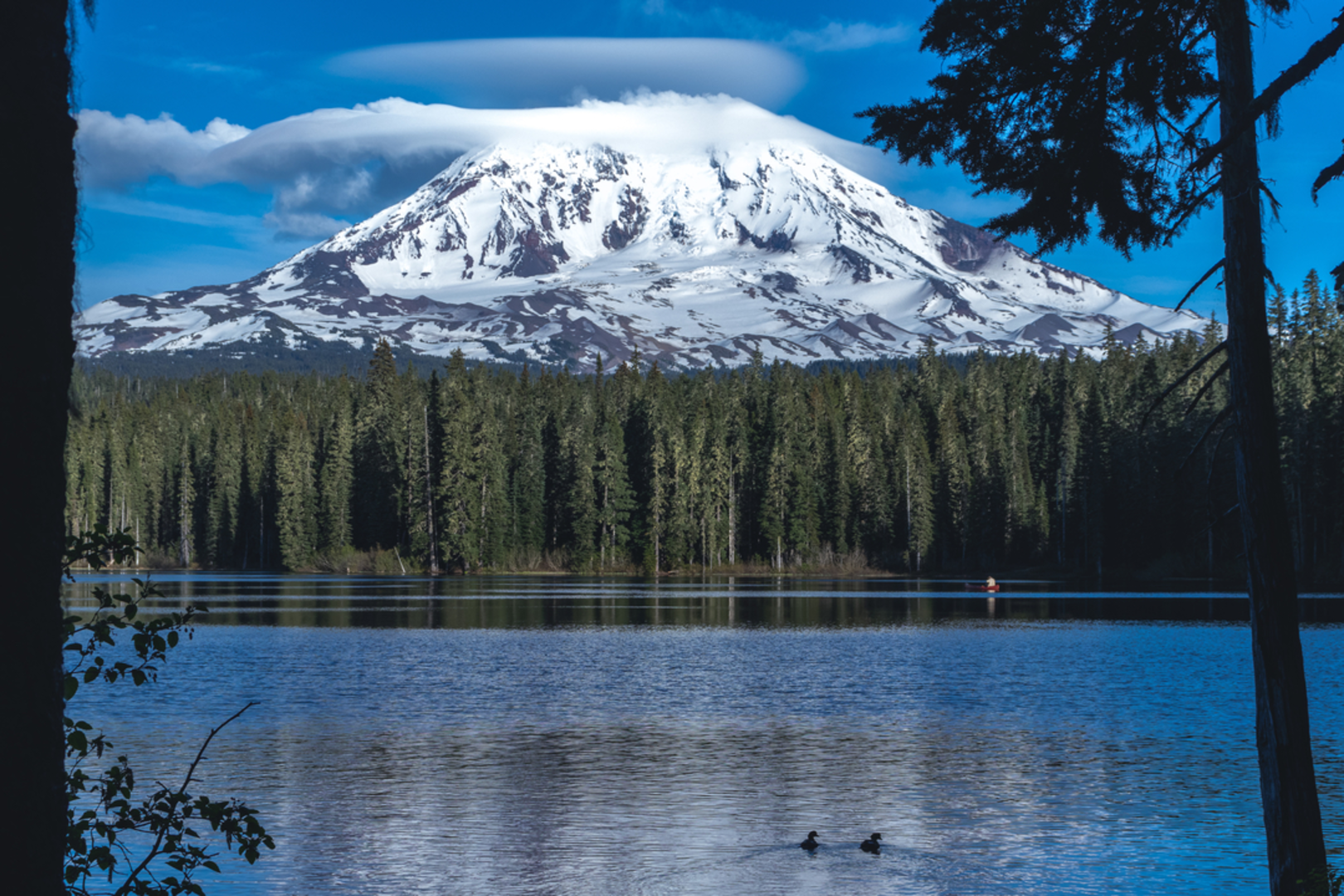An image depicting the trail Takhlakh Lake Loop Trail and its surrounding area.