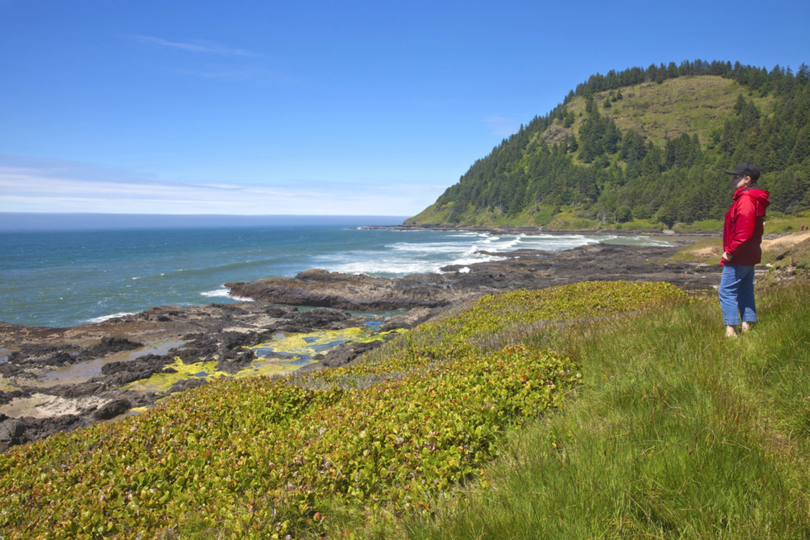An image depicting the trail Amanda's Trail and its surrounding area.