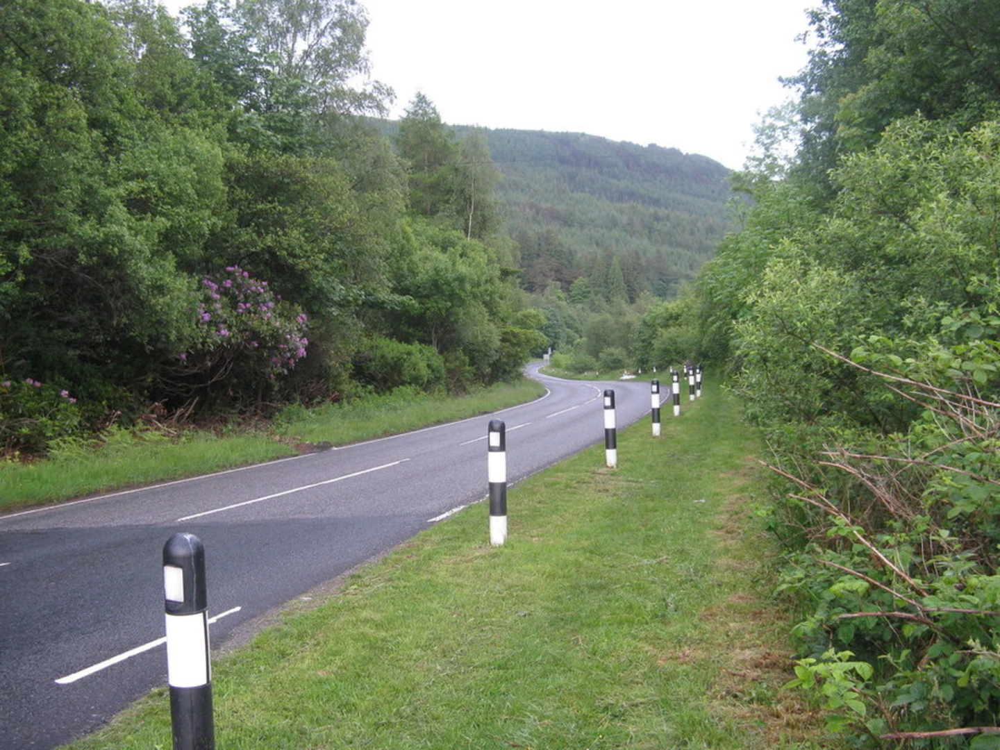 An image depicting the trail Puck's Glen Gorge Loop Trail and its surrounding area.
