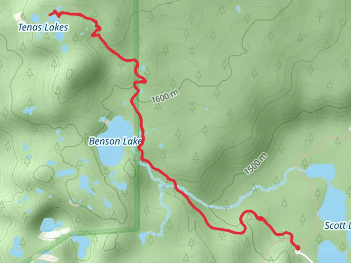 An image depicting the trail Tenas and Benson Lake and its surrounding area.