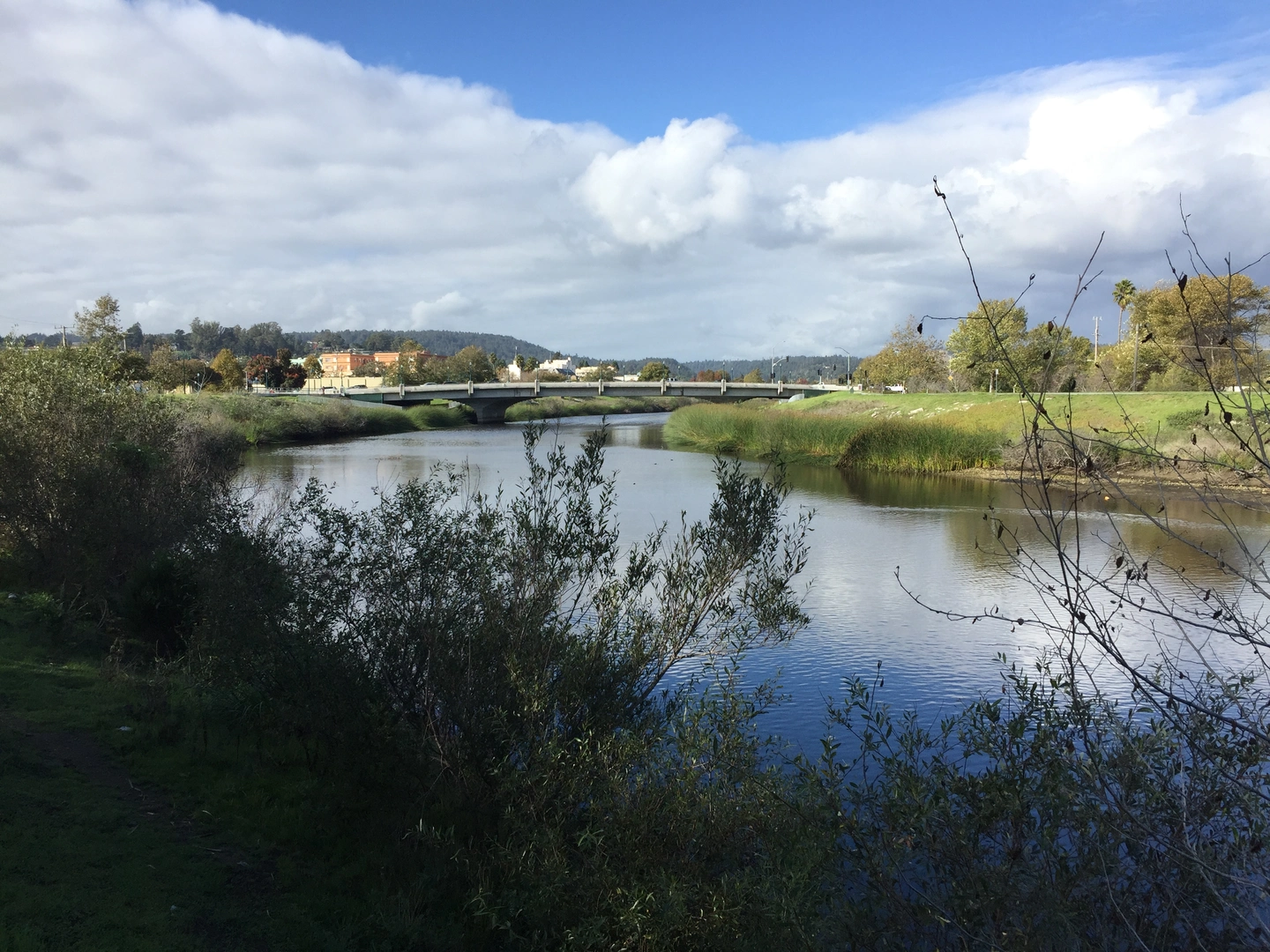 An image depicting the trail San Lorenzo River and Eagle Creek via River Trail Pedestrian and its surrounding area.
