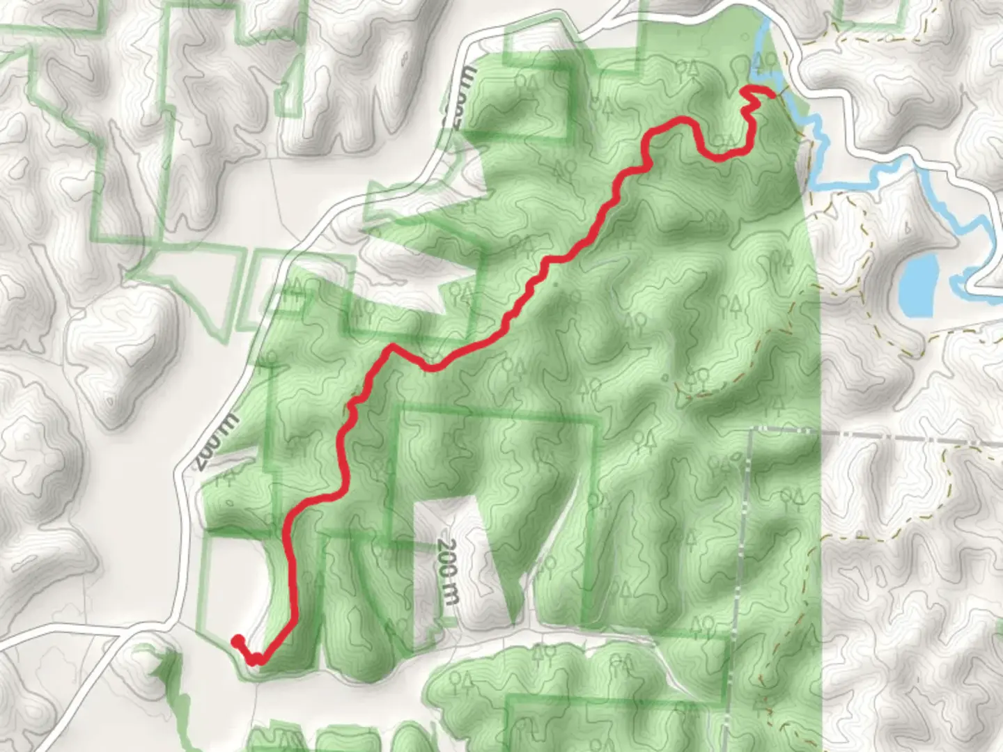 An image depicting the trail Lyra Trail and its surrounding area.