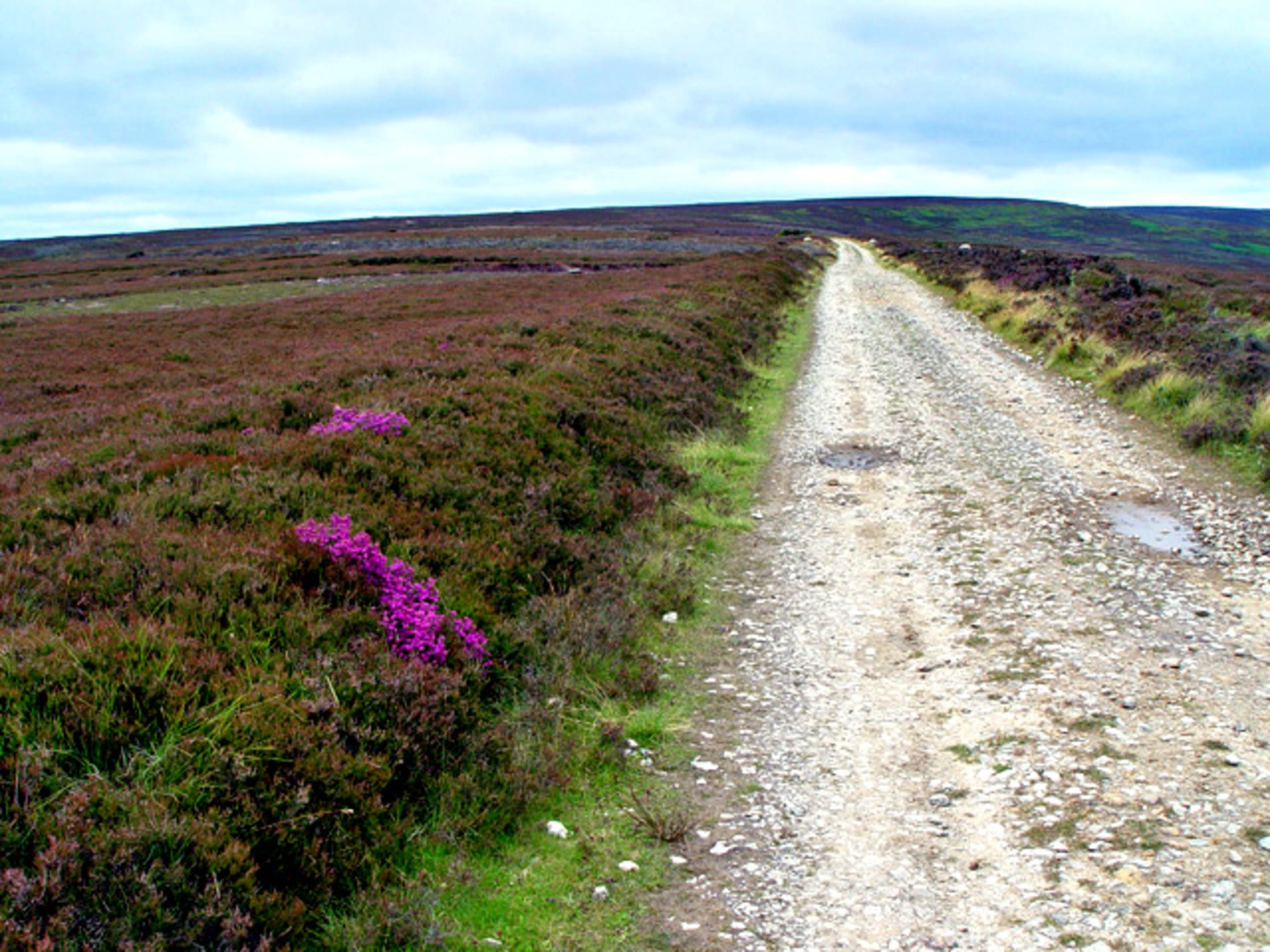 An image depicting the trail The Rudland Ridge and its surrounding area.