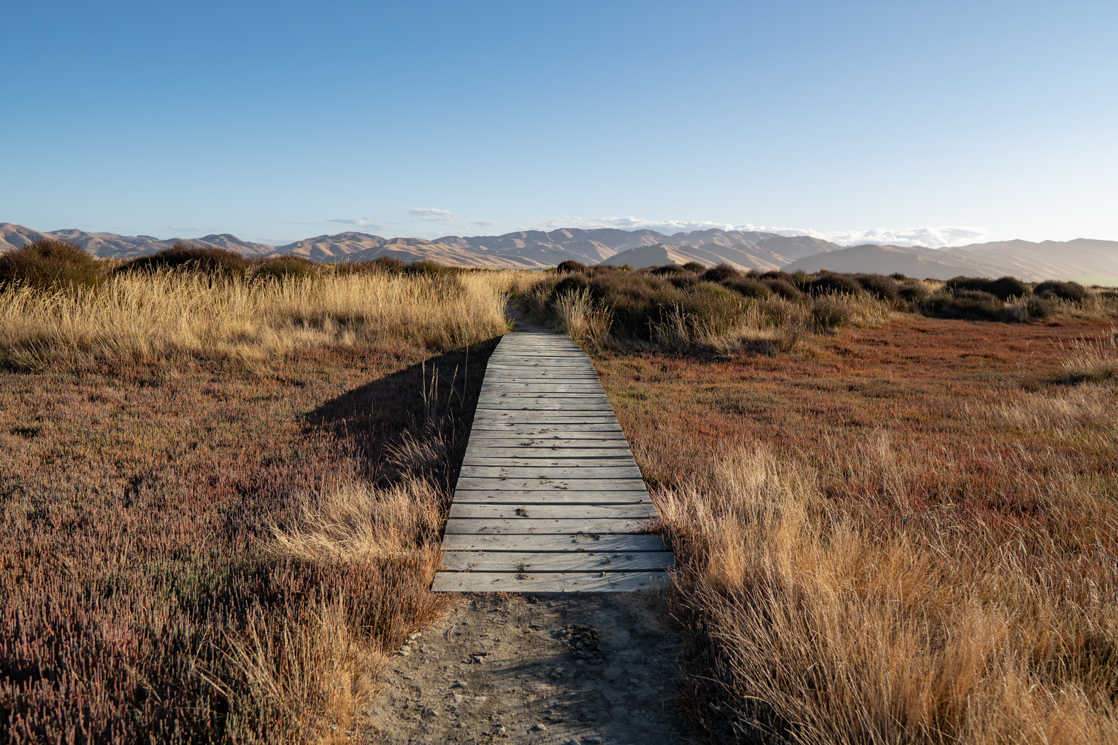 An image depicting the trail Wairau Lagoons Shipwreck Walkway and its surrounding area.