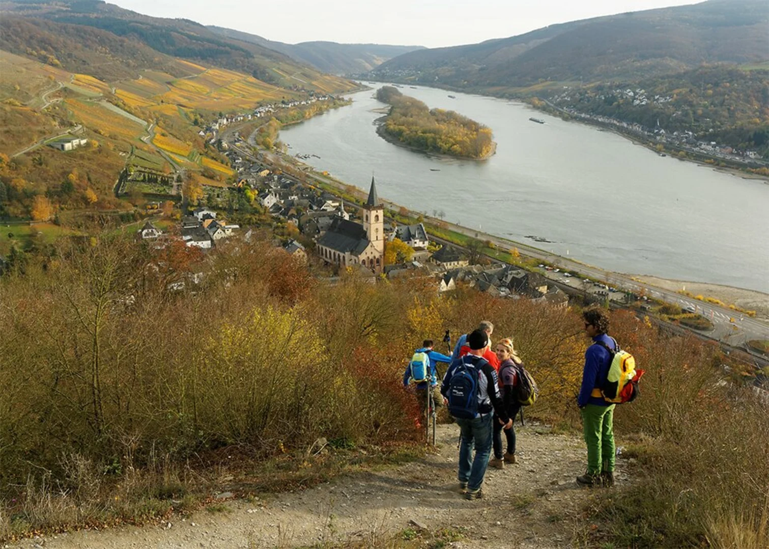 An image depicting the trail Ruine Nollig, Rhein Wisper Blick and Lehnhardt Blick Loop via Rheingauer Rieslingpfad and its surrounding area.