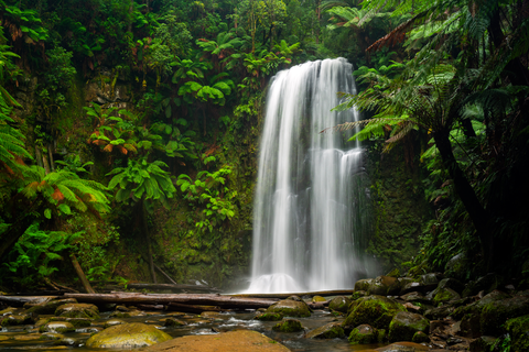 Beauchamp Falls Walk