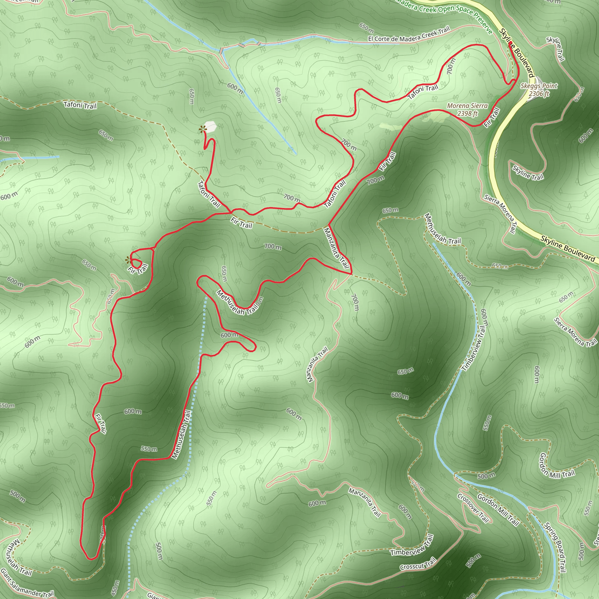 Fir, Methuselah and Tafoni Loop Trail mobile static map