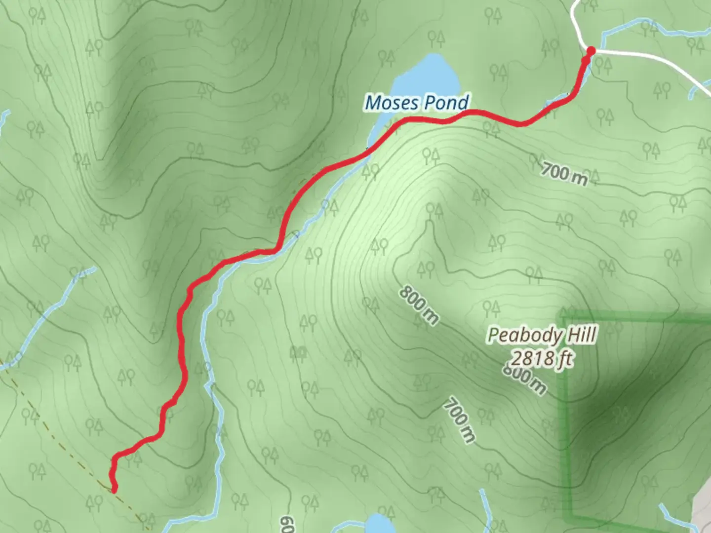An image depicting the trail Moses Pond Trail and its surrounding area.