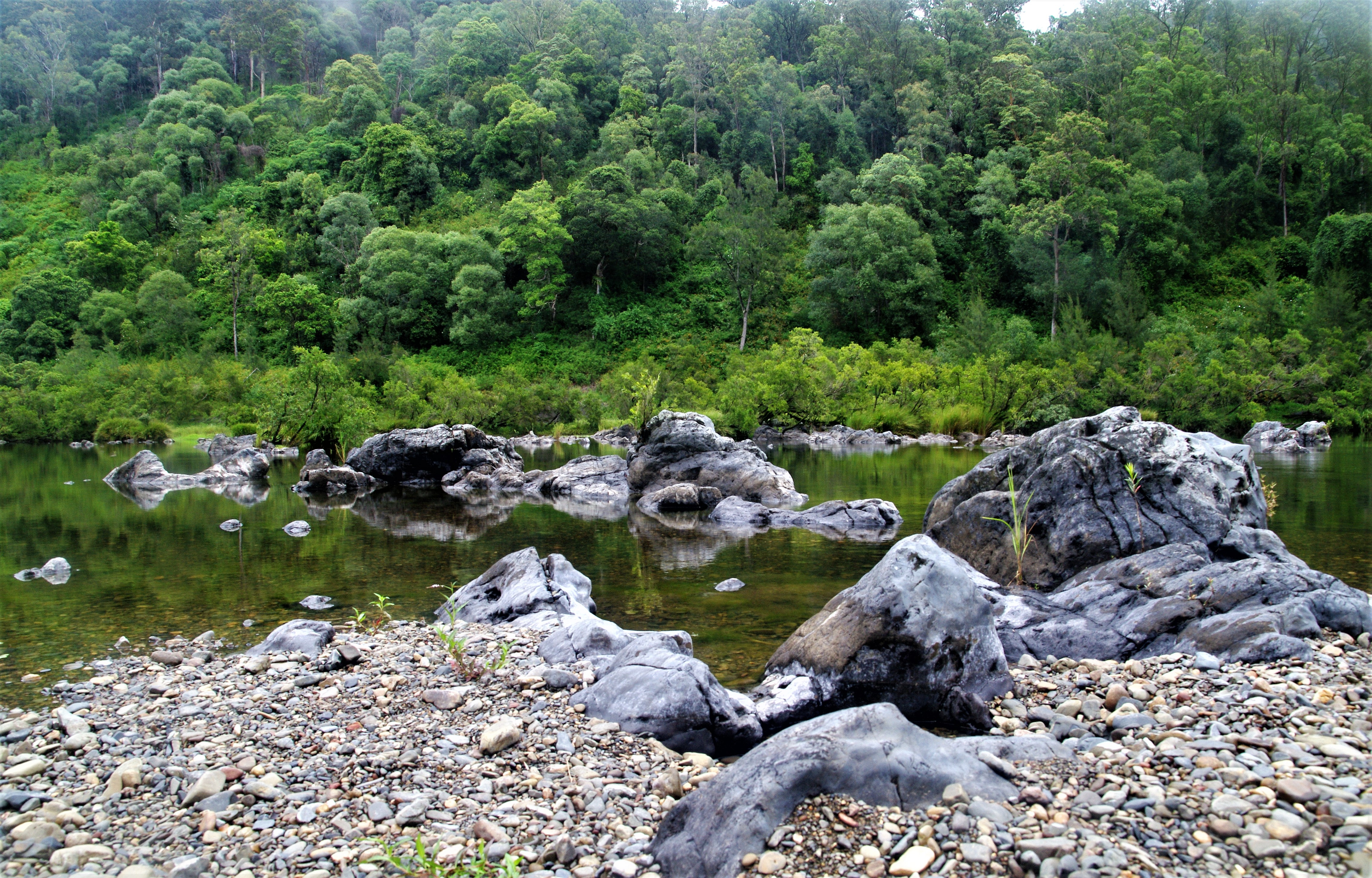 An image depicting the trail Nymboida National Park and its surrounding area.