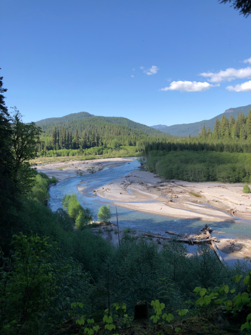 An image depicting the trail Cedar Flats Trail and its surrounding area.