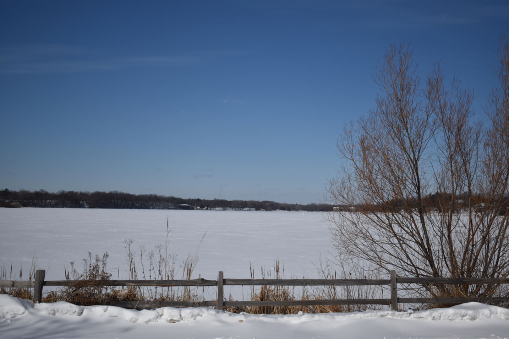 An image depicting the trail Lake Phalen Loop and its surrounding area.