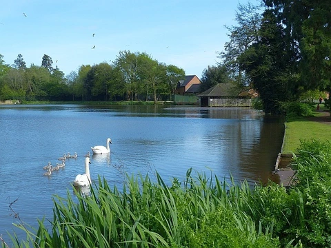 Tredegar House Country Park Loop