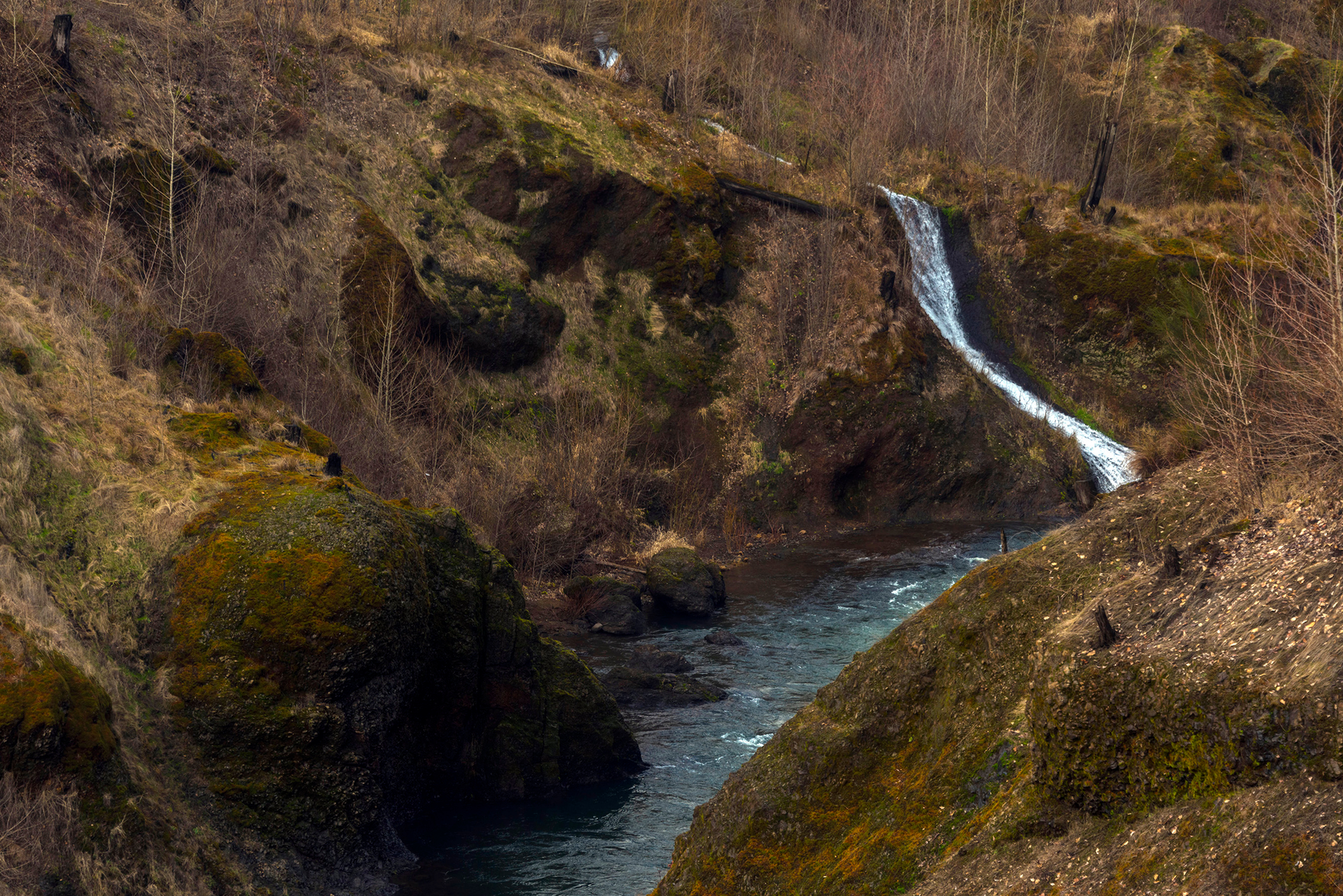 An image depicting the trail Spider Meadow - Buck Creek Pass Loop and its surrounding area.