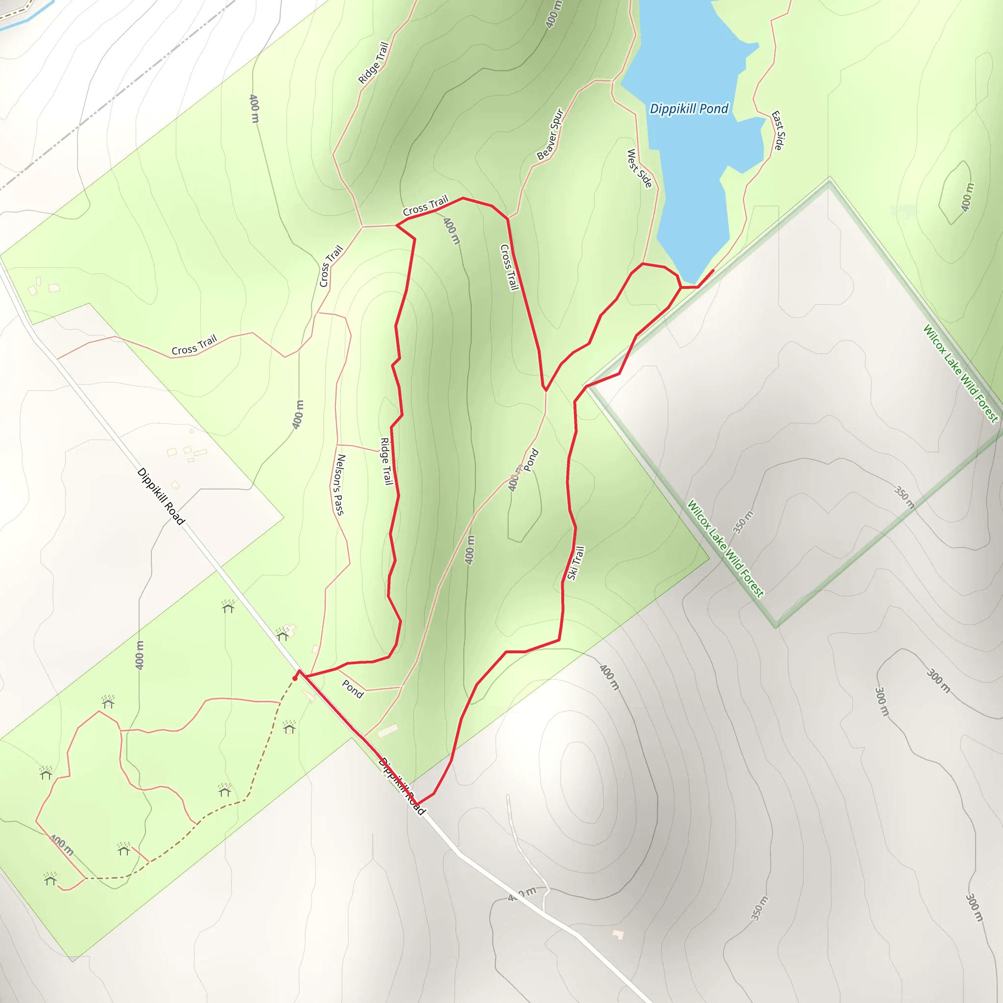 Dippikill Pond Loop Trail mobile static map